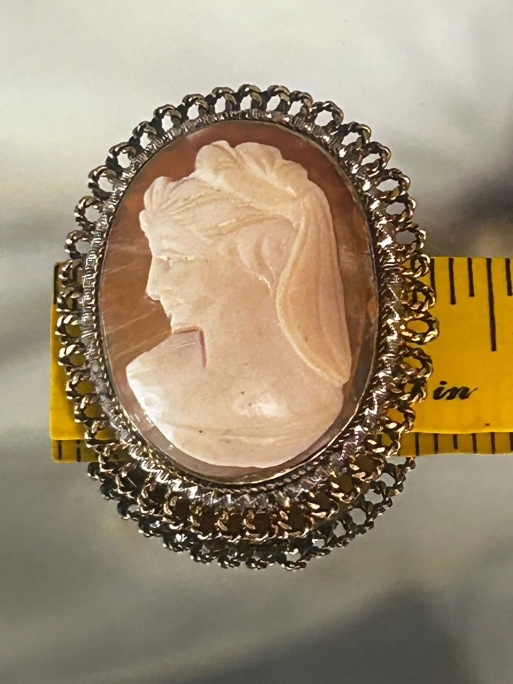 Vintage Cameo Brooch or Pendant with Gold Filled Accents